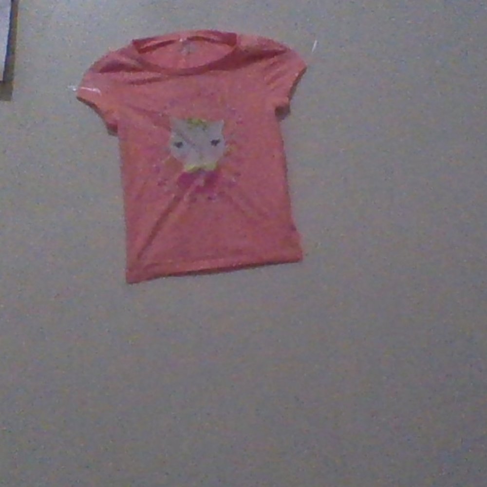pretty kitty shirt